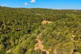 33022 Fisher Peak Pkwy - Photo 49