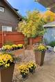 1123 San Juan St - Photo 43