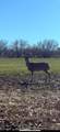 TBD Daniel Rd - Photo 10