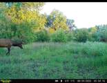 TBD Daniel Rd - Photo 12