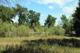 TBD Daniel Rd - Photo 32