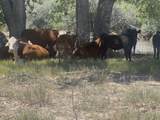 TBD Daniel Rd - Photo 41