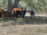 TBD Daniel Rd - Photo 42