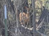 TBD Daniel Rd - Photo 48
