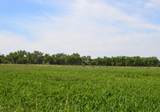 TBD Daniel Rd - Photo 8