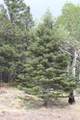 2874 Fery Loop - Photo 5