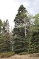 2874 Fery Loop - Photo 6