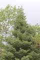 2874 Fery Loop - Photo 7