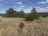 L24 B2 Black Diamond Park - Photo 1