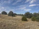 L24 B2 Black Diamond Park - Photo 4