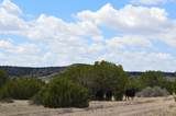 tbd Claymine Rd - Photo 12