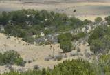 tbd Claymine Rd - Photo 28