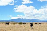 tbd Claymine Rd - Photo 35