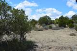 tbd Claymine Rd - Photo 41