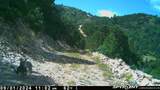 233 Cr 542 - Photo 54