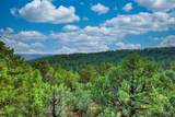 3420 Currant Pkwy - Photo 10