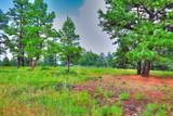 3420 Currant Pkwy - Photo 9