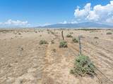 TBD County Road 110 - Photo 13