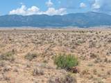 TBD County Road 110 - Photo 16