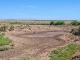 TBD County Road 110 - Photo 18