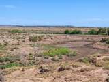 TBD County Road 110 - Photo 19