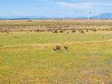 TBD County Road 110 - Photo 5