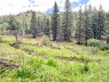 22954 Mt Elbert Drive - Photo 26
