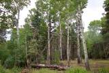 22954 Mt Elbert Drive - Photo 29