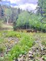 22954 Mt Elbert Drive - Photo 36