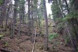 22954 Mt Elbert Drive - Photo 39