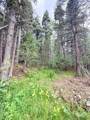 22954 Mt Elbert Drive - Photo 42