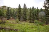 22954 Mt Elbert Drive - Photo 43