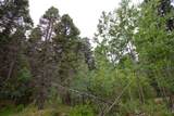 22954 Mt Elbert Drive - Photo 44