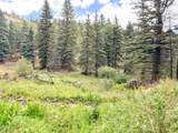 22954 Mt Elbert Drive - Photo 48