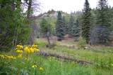 22954 Mt Elbert Drive - Photo 49