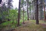22954 Mt Elbert Drive - Photo 50