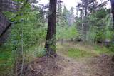 22954 Mt Elbert Drive - Photo 51