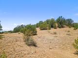 TBD Plaza Road - Photo 13
