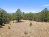 TBD Plaza Road - Photo 15