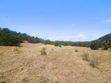 TBD Plaza Road - Photo 7