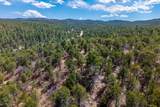 32790 Old Sopris Rd - Photo 43