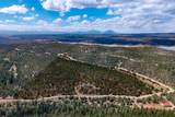 32790 Old Sopris Rd - Photo 47