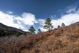 Lots 9, 10 La Veta Acres - Photo 10