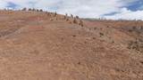 Lots 9, 10 La Veta Acres - Photo 27
