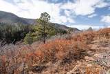 Lot 9 La Veta Acres - Photo 11
