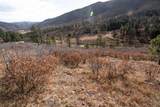 Lot 9 La Veta Acres - Photo 23