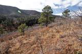 Lot 9 La Veta Acres - Photo 24
