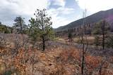 Lot 9 La Veta Acres - Photo 25