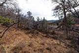 Lot 9 La Veta Acres - Photo 6