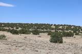  Cl&G Ranch Lots 58-60 - Photo 16